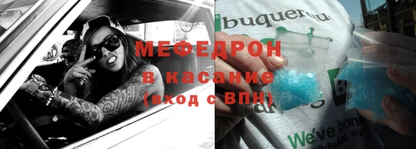 стафф Ельня