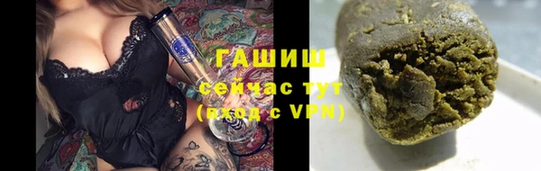 стафф Ельня