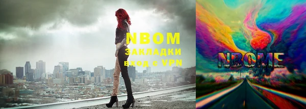дмт Елизово