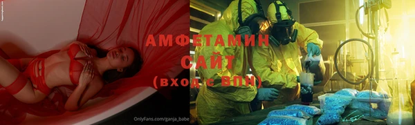 стафф Ельня