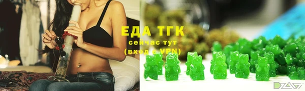 стафф Ельня