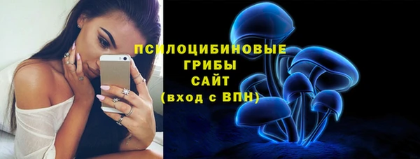 стафф Ельня
