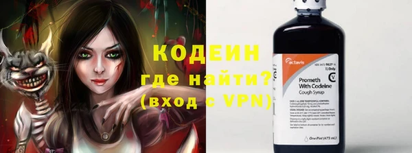 дмт Елизово