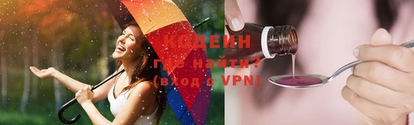 дмт Елизово