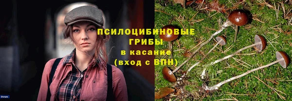 дмт Елизово
