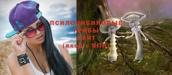 a pvp Елабуга