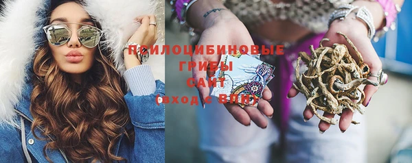 стафф Ельня