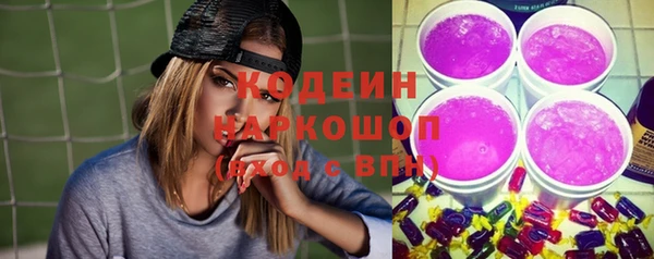 стафф Ельня