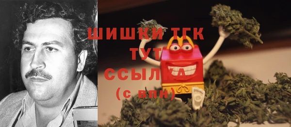 дмт Елизово