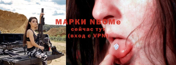 стафф Ельня